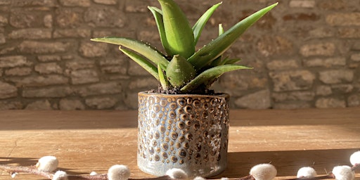 Make your own Plant Pots - Ceramic Workshop
