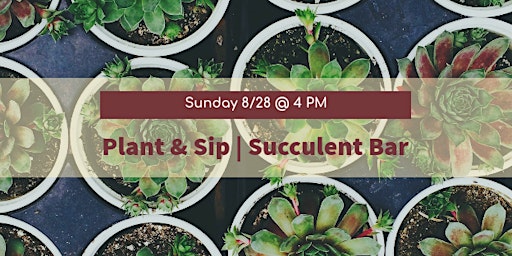 Plant & Sip | Succulent Bar