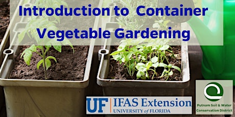 Introduction to Container Vegetable Gardening