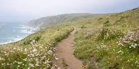 Tomales Point Hike - July 23rd primary image