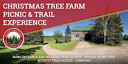 Christmas Tree Farm Picnic & Trail Experience