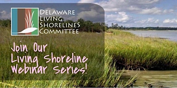 DELSC Webinar: Nature-based Solutions for Shoreline Protection in Galveston