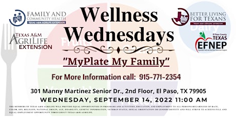 Wellness Wednesday- My Plate, My Family