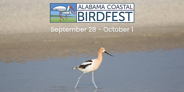2022 Alabama Coastal BirdFest