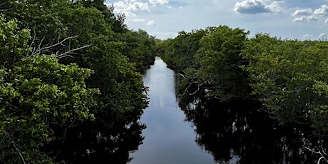 Meditate among the Mangroves --  at the Wildlife Education Boardwalk