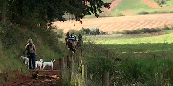 Landscape talk & walk (FREE guided walk)
