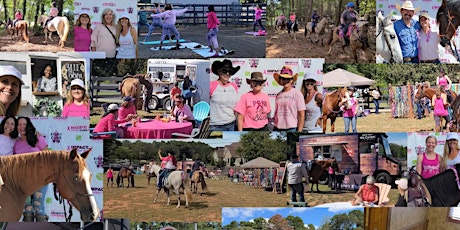 Horse Lovers Day &  Breast Cancer event at Leatherman Lane