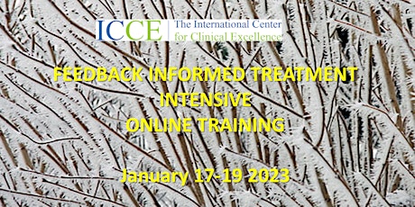 Feedback Informed Treatment (FIT) Intensive ONLINE primary image