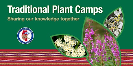 Traditional Plant Camps: Grande Prairie