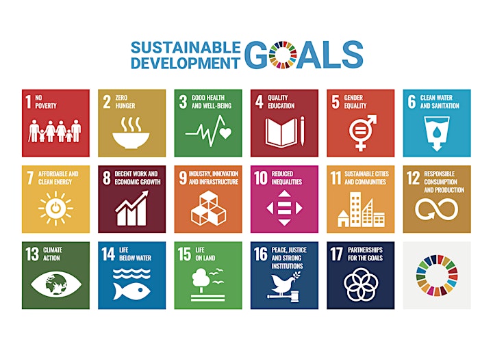 Aotearoa New Zealand Sustainable Development Goals Summit Series image