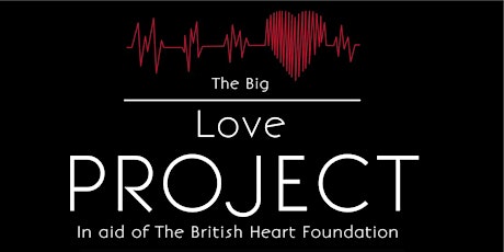 The Big Love Project primary image