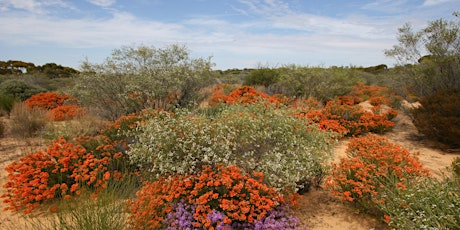 Public Talk: Plant diversity in south-western Australia