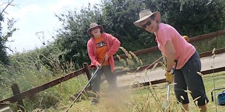 Volunteering Weekend - Erect a Windpump / Gardening / DIY / General Help primary image