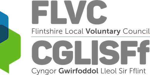 FLVC Third Sector Conference – Reflection and Projection