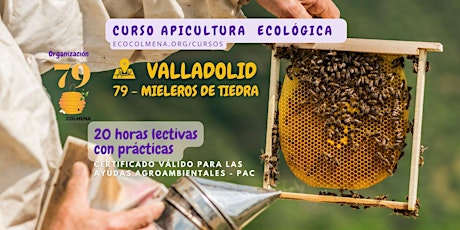 Imagen principal de Curso de Apicultura en Valladolid (Tiedra)