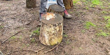 Fire Lightning Through Time with The Forge (Corwen) primary image