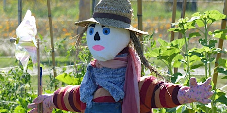Family Learning - Build a Scarecrow