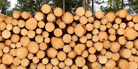 Ressource Wald & Holz  am Holzbau-Donnerstag