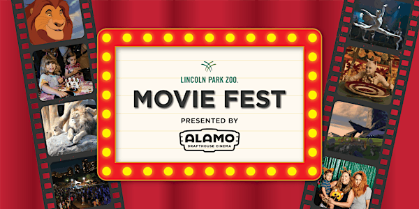 Movie Fest Presented by Alamo Drafthouse Cinema