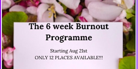 The 6 week Burnout Recovery Programme