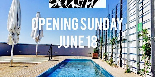 The LIT Roof Opening Sunday