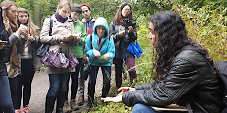 Medicinal Plant Walk - In City primary image