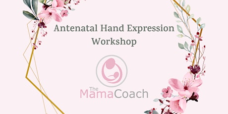 Antenatal Hand Expression Workshop