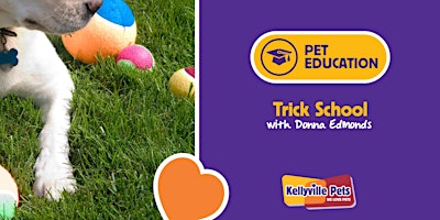 Imagem principal do evento Dog Trick School 2024 - 6 week course
