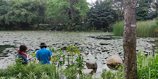 Wonderful Wetlands Series: Mangrove Monitoring