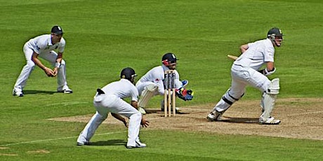 The Physics of Cricket primary image