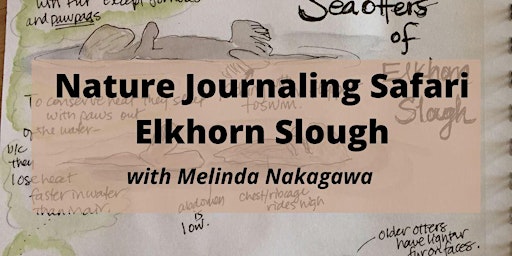 Elkhorn Slough Nature Journaling Safari