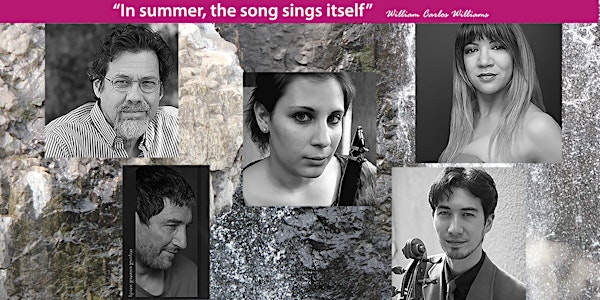 Paterson Project: A visual and poetic modern classical music experience
