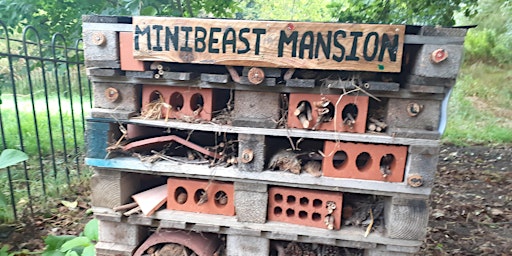 Lets make minibeast mansions