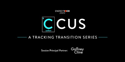CCUS: A Tracking Transition Series