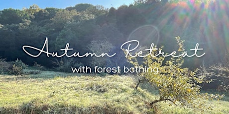 Autumn Retreat with Forest Bathing