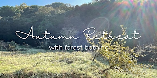 Meditation & Mantra Forest Retreat