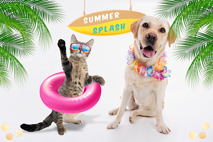Virtual Bingo for the Animals - Summer Splash Edition image