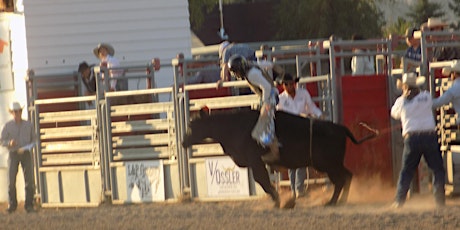 Jefferson County Rodeo