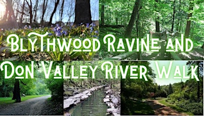 Blythwood Ravine and Don Valley River Walk