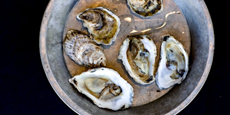 Bleu Duck Sunday School: Oysters 101 with The Wine Company