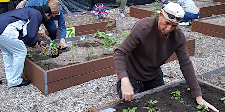 Bringing the Green: Crowdfunding for Community Gardens
