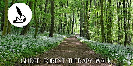 Guided Forest Therapy Walk primary image