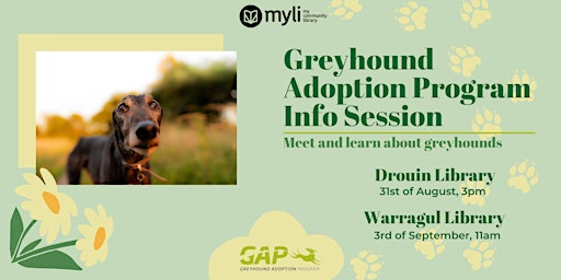 Greyhound Adoption Program (GAP) comes to Drouin Library!