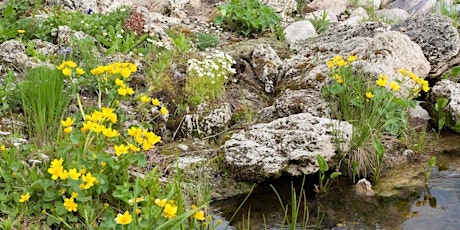Image principale de CRAGS workshop: Water Features in the Garden Part 2, with Rob Staniland