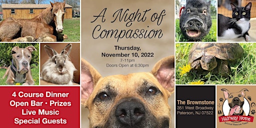 A Night of Compassion