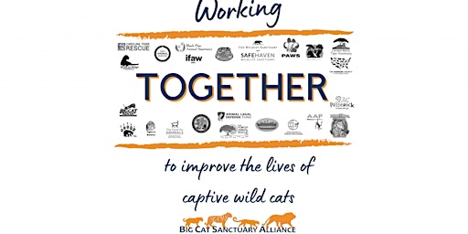 2022 Big Cat Sanctuary Alliance Conference