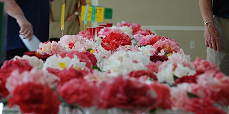 Pensacola Camellia Club 84th Annual Camellia Flower Show & Plant Sales