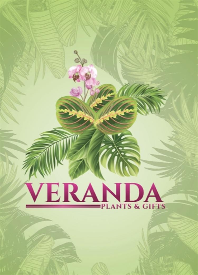Veranda Plants & Gifts in Coral Gables