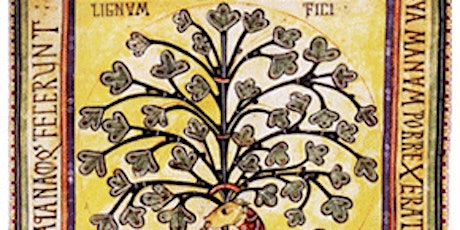 Imagen principal de Kabbalah: Un viaje a través del árbol de la vida