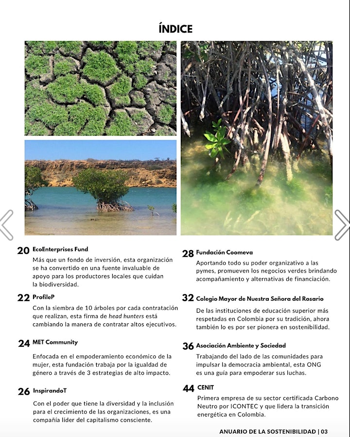 Imagen de Presentación Anuario de la Sostenibilidad de la Cámara Verde en Uniandinos